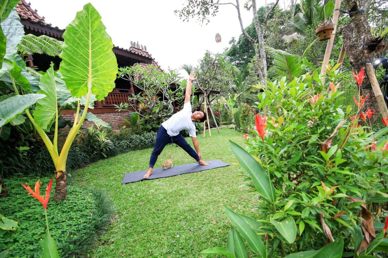 Villa Be Bali Hut Farm Stay Ubud Eksteriør bilde